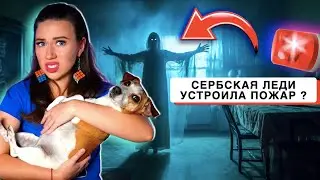 СЕРБСКАЯ ЛЕДИ и ПОЖАР - РУМ ТУР КВАРТИРЫ В ДУБАЕ | Elli Di Online