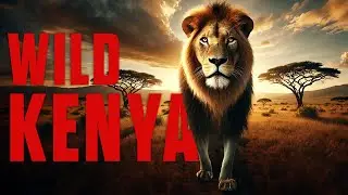 WILD KENYA | Diverse Nature of Kenya Full Documentary