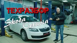 Skoda Octavia A7. ТЕХРАЗБОР