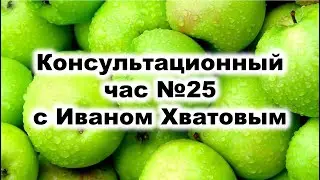 Консультационный час 25 (31 октября 2023)