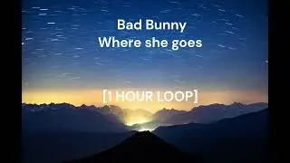 Bad Bunny - Where she goes [1 HOUR LOOP]