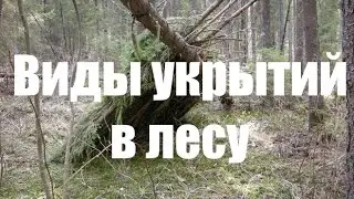 ВИДЫ ЛЕСНЫХ УКРЫТИЙ