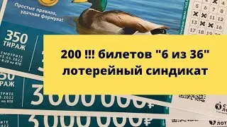 200 билетов 6из36 тираж 350 лотерейный синдикат