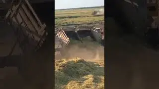 СЛУЧАЙНЫЙ СВИДЕТЕЛЬ 🤯