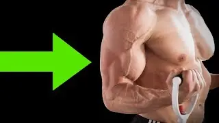 The 5 Best Arm Exercises.. OF ALL TIME!