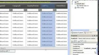 ASP.NET AJAX Grid - Operating with the Filter Expression Manually