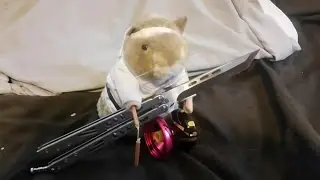 Aoda fraxel yo-yo review