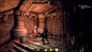 The Elder Scrolls Online #1 - для новичков.