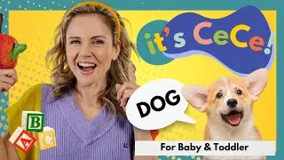 Best Toddler Videos |Learn to Talk and Sign| - Episode One - Let's Learn About Dogs