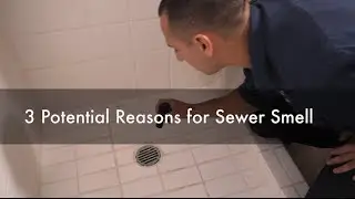 Why Do I Have a Sewer Smell in My Bathroom? 3 Potential Reasons. Seattle Best Plumbing (206)633-1700