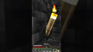 Minecraft #194