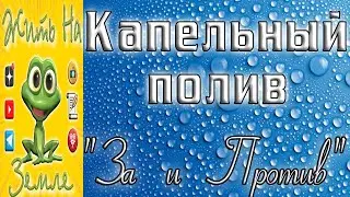 Капельный полив. Я сделал так...