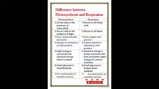 Difference between Photosynthesis and Respiration