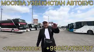 Москва Ташкент автобус