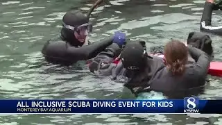 Monterey Bay Aquarium held a scuba diving experience for kids with different abilities