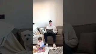 #стешины