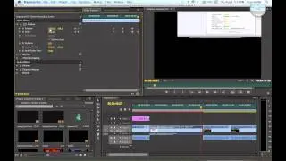 Keyframing in Adobe Premiere Pro