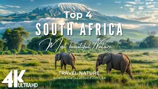 TOP 4 South Africa Most Beautiful Nature - Amazing Beautiful Nature Scenery With Piano Music