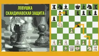 Ловушка против Скандинавской защиты. Шахматы