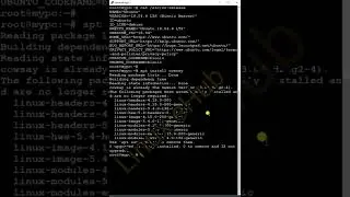 Linux Fun Command3 🤩🤩🤩 | Ubuntu 