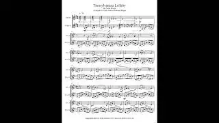 Transylvanian Lullaby by David Wright - arranged for violin duet by Andrew Hodges