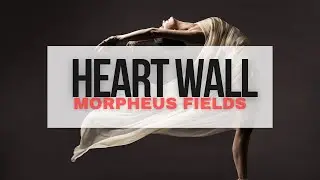 heart wall (morphic field)