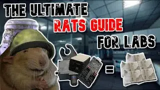 How to become the Labs RAT ever | Escape From Tarkov |