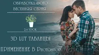 3D LUT ТАБЛИЦЫ. ПРИМЕНЕНИЕ В PHOTOSHOP