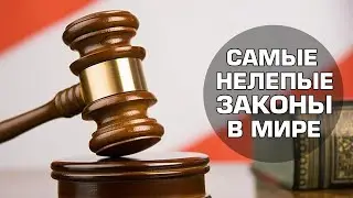 10 Самых нелепых и смешных законов в мире