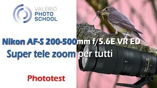 Nikon AF-S 200-500mm f/5.6E VR ED uno superzoom sorprendente