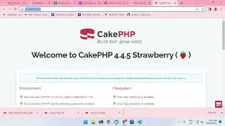 CakePHP 4 - Spatie/Browsershot PDF Creation with Token Authentication