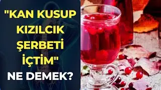 Kan Kusup Kızılcık Şerbeti İçtim Demek Deyiminin Anlamı Nedir?