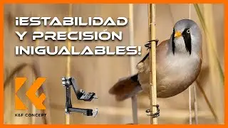 ¡Cabezal para fotógrafos de Naturaleza! 🦅📸 | Review rótula Gimbal K&F Concept | Kentfaith.es