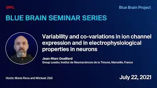 Variability & co-variations in ion channel expression & electrophysiological properties in neurons