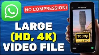 How To Send Large Video File Through WhatsApp (iOS & Android)