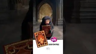 Ты фанат аниме и Гарри Поттера? Тогда эти книги точно для тебя! ✨📚⤵️