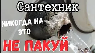 Откуда вы такие берётесь? Или вы местные?...