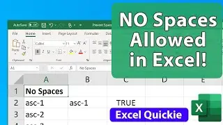 Prevent Spaces in a Cell - Excel Quickie 58