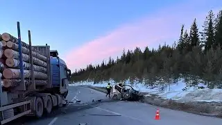 Хонда метнулась под лесовоз