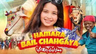 Aayat Arif | Hamara Bail Chahgaya | Bakra Eid Special | Sab Sab ko Eid Al Adha Mubarak