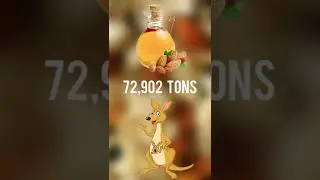 Top 10 Countries with highest Almond production !