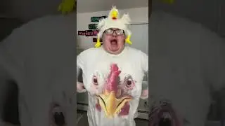 Bok bok chicken!