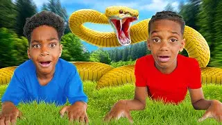 A Snake ATTACKED Us!