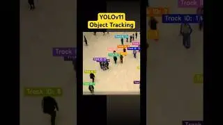 YOLO11 Object Tracking using Ultralytics