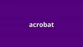 what is the meaning of acrobat.