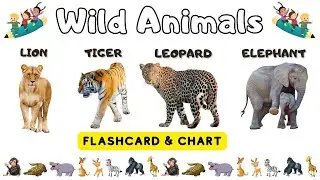 Wild Animal | Wild Animals for toddlers | Wild Animals Name