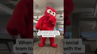 no 😊