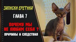 Почему мы не любим себя? Причины и следствия. Глава 7.