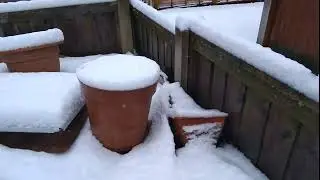 Lots of Snow in The Garden 2023 | Presentation Vlogs