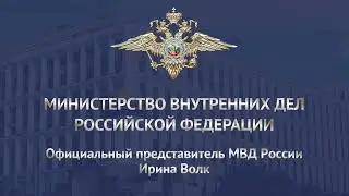 Ирина Волк:Полицейские задержали подозреваемого в хищении ящика с пожертвованиями для участников СВО